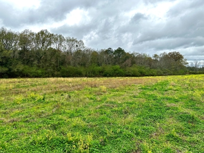 Land for sale Slocomb, AL - image 6