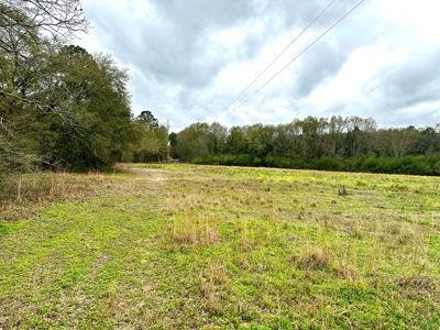Land for sale Slocomb, AL - image 3