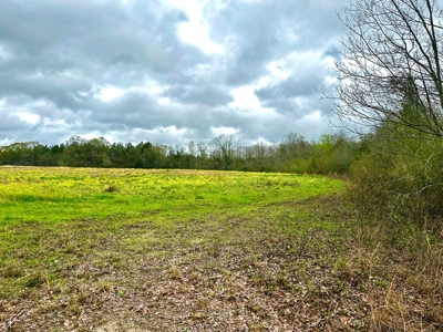 Land for sale Slocomb, AL - image 10