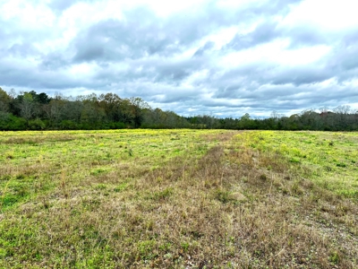 Land for sale Slocomb, AL - image 2