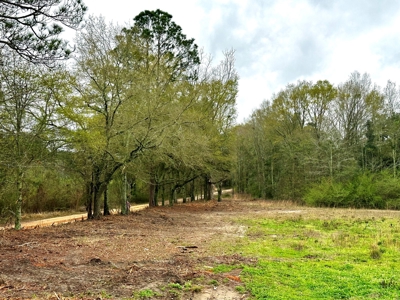 Land for sale Slocomb, AL - image 5