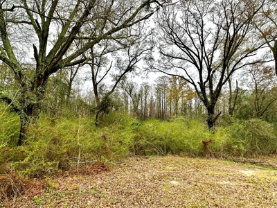 Land for sale Slocomb, AL - image 8