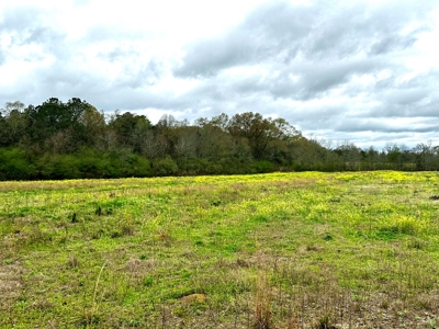 Land for sale Slocomb, AL - image 4