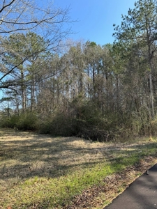 Centreville, MS Lot for Sale - image 5