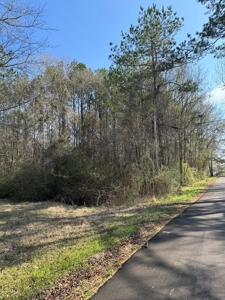 Centreville, MS Lot for Sale - image 4
