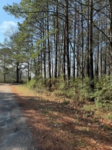 Centreville, MS Lot for Sale - image 1