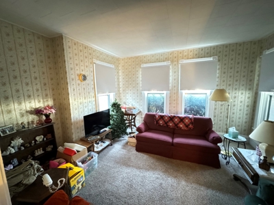 3 Bedroom Home Columbia County Online Only Auction - image 12