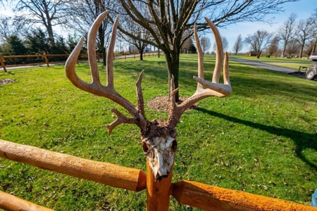 Beautiful Log Homes Situated on 250 Acres in Stockton, MO - image 47