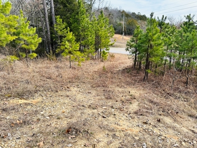 Acreage With A View On Hwy 9 South Of Melbourne, Arkansas - image 10