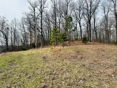 Acreage With A View On Hwy 9 South Of Melbourne, Arkansas - image 17
