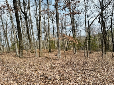 Acreage With A View On Hwy 9 South Of Melbourne, Arkansas - image 14