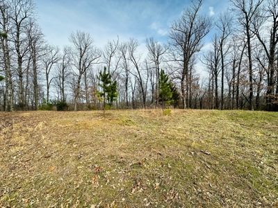 Acreage With A View On Hwy 9 South Of Melbourne, Arkansas - image 20