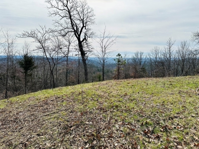 Acreage With A View On Hwy 9 South Of Melbourne, Arkansas - image 16
