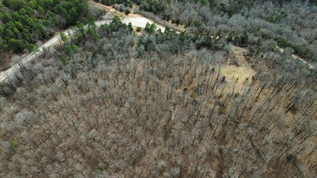 Acreage With A View On Hwy 9 South Of Melbourne, Arkansas - image 5