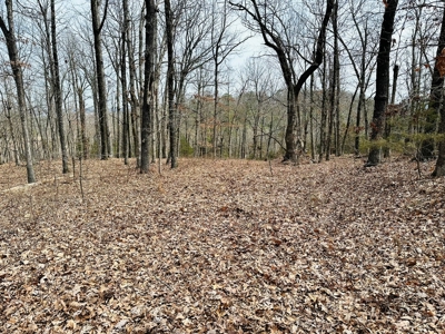 Acreage With A View On Hwy 9 South Of Melbourne, Arkansas - image 15