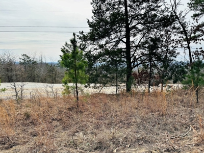 Acreage With A View On Hwy 9 South Of Melbourne, Arkansas - image 9