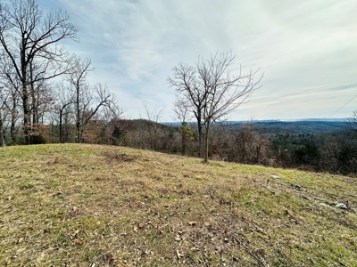 Acreage With A View On Hwy 9 South Of Melbourne, Arkansas - image 19