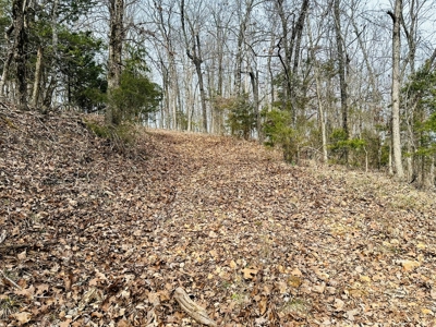 Acreage With A View On Hwy 9 South Of Melbourne, Arkansas - image 11