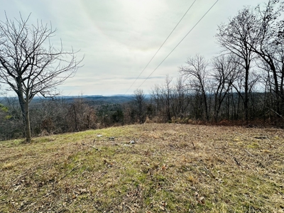 Acreage With A View On Hwy 9 South Of Melbourne, Arkansas - image 21