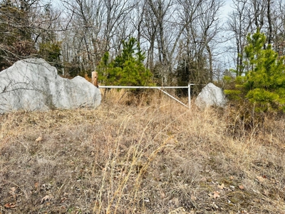 Acreage With A View On Hwy 9 South Of Melbourne, Arkansas - image 8