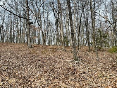 Acreage With A View On Hwy 9 South Of Melbourne, Arkansas - image 12