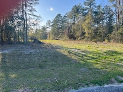 Vacant Land for sale in Jasper, FL Owner Financing - image 2