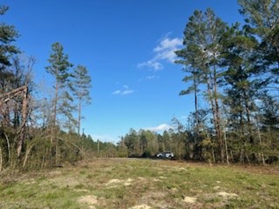 Vacant Land for sale in Jasper, FL Owner Financing - image 4