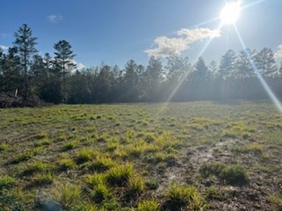 Vacant Land for sale in Jasper, FL Owner Financing - image 3