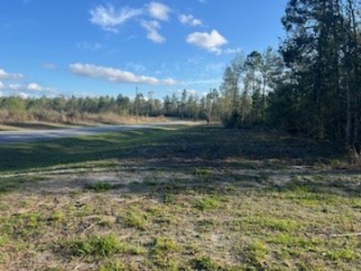 Vacant Land for sale in Jasper, FL Owner Financing - image 5