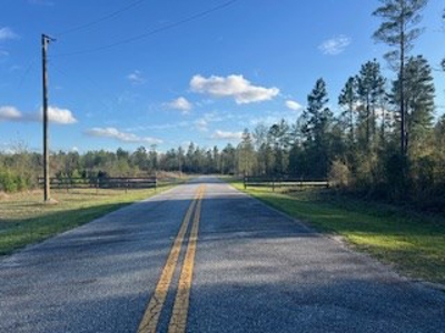 Vacant Land for sale in Jasper, FL Owner Financing - image 7