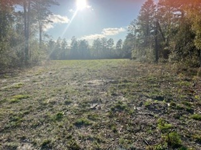 Vacant Land for sale in Jasper, FL Owner Financing - image 1