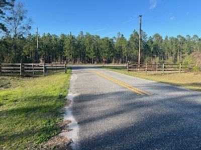 Vacant Land for sale in Jasper, FL Owner Financing - image 6