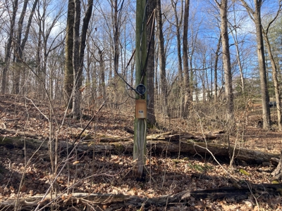 Double Lakefront Lot on Barren River Lake - image 8
