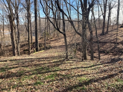 Double Lakefront Lot on Barren River Lake - image 3