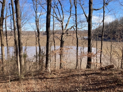 Double Lakefront Lot on Barren River Lake - image 7