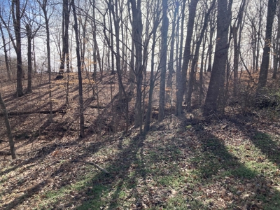 Double Lakefront Lot on Barren River Lake - image 4