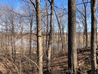 Double Lakefront Lot on Barren River Lake - image 6
