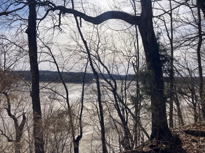 Double Lakefront Lot on Barren River Lake - image 1