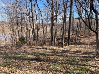 Double Lakefront Lot on Barren River Lake - image 2