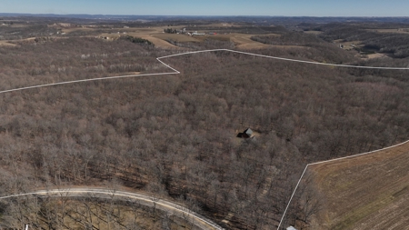 Log Home with Old-Growth Forest for sale in Monroe County - image 2