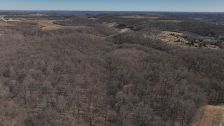 Log Home with Old-Growth Forest for sale in Monroe County - image 43