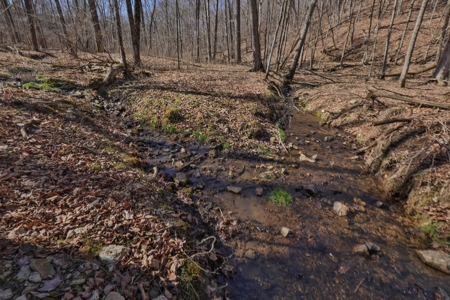 Log Home with Old-Growth Forest for sale in Monroe County - image 36
