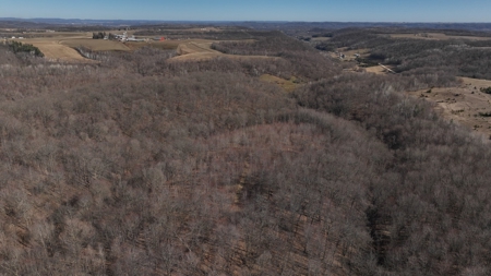 Log Home with Old-Growth Forest for sale in Monroe County - image 35