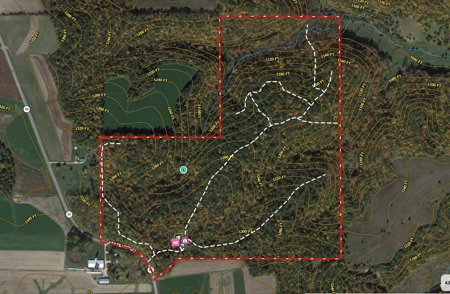 Log Home with Old-Growth Forest for sale in Monroe County - image 49