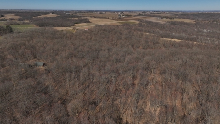 Log Home with Old-Growth Forest for sale in Monroe County - image 44