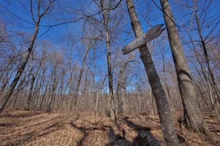 Log Home with Old-Growth Forest for sale in Monroe County - image 39