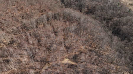 Log Home with Old-Growth Forest for sale in Monroe County - image 45