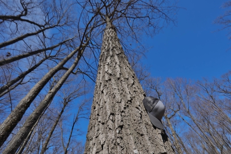 Log Home with Old-Growth Forest for sale in Monroe County - image 37