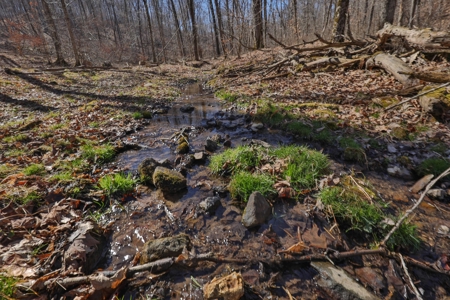 Log Home with Old-Growth Forest for sale in Monroe County - image 42