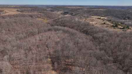 Log Home with Old-Growth Forest for sale in Monroe County - image 32